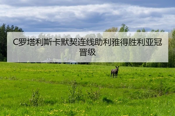 C罗塔利斯卡默契连线助利雅得胜利亚冠晋级 | hth