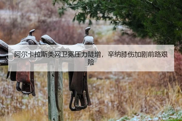 a-er-ka-la-si-mei-wang-wei-mian-ya-li-dou-zeng-xin-na-xi-shang-jia-ju-qian-lu-jian-xian-1-788.jpg - hth